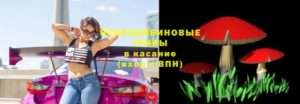 прущая мука Магас