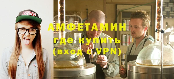 шишки Медвежьегорск