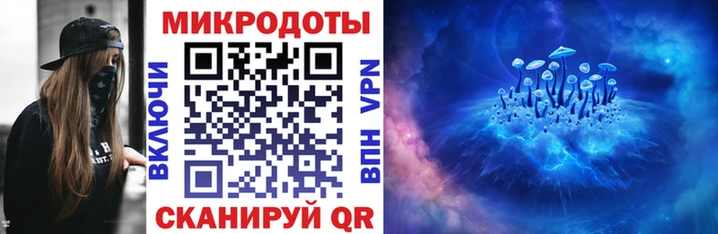 Галлюциногенные грибы Psilocybe  Шелехов 